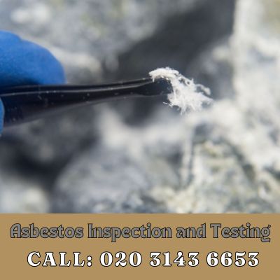 Comprehensive Asbestos Inspection and Testing Services in Southgate